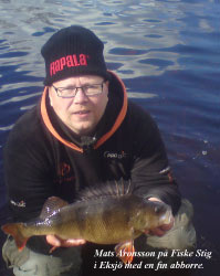 bild3_1_svenskatigern