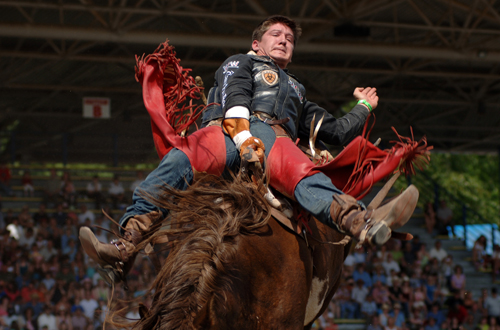 I Texas är det stora nöjet rodeo.